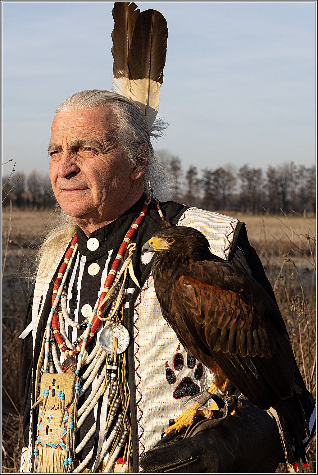 Cheyenne-Halbblut Hunting Wolf in der Falknerei Pierre Schmidt; Gymnich, 09.02.2023